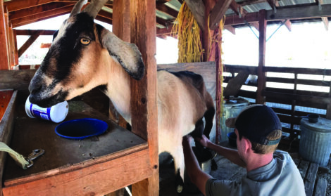 From Cubicle to Cultivar: How to Leave the Office and Become a Farmer Image